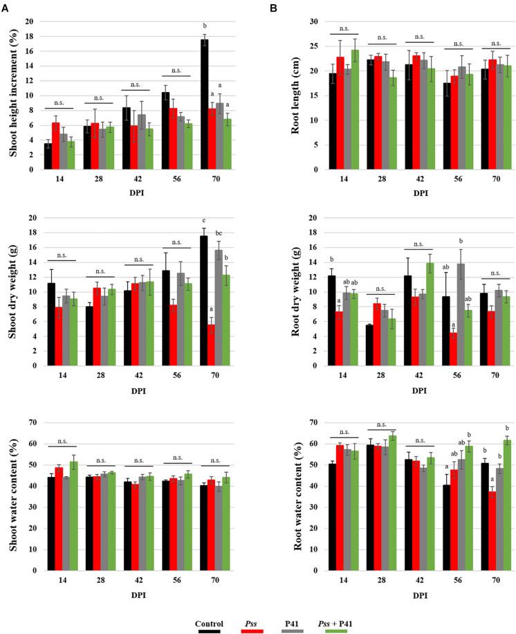 https://cdn.ncbi.nlm.nih.gov/pmc/blobs/7142/7477298/e0f3a2cbb93c/fmicb-11-02051-g005.jpg