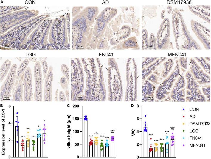 https://cdn.ncbi.nlm.nih.gov/pmc/blobs/7144/9554658/516d6194f98b/fnut-09-987400-g003.jpg