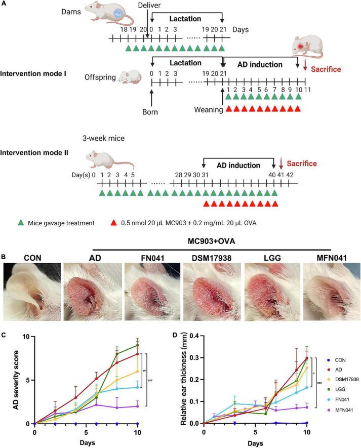 https://cdn.ncbi.nlm.nih.gov/pmc/blobs/7144/9554658/e0b9c300835f/fnut-09-987400-g001.jpg