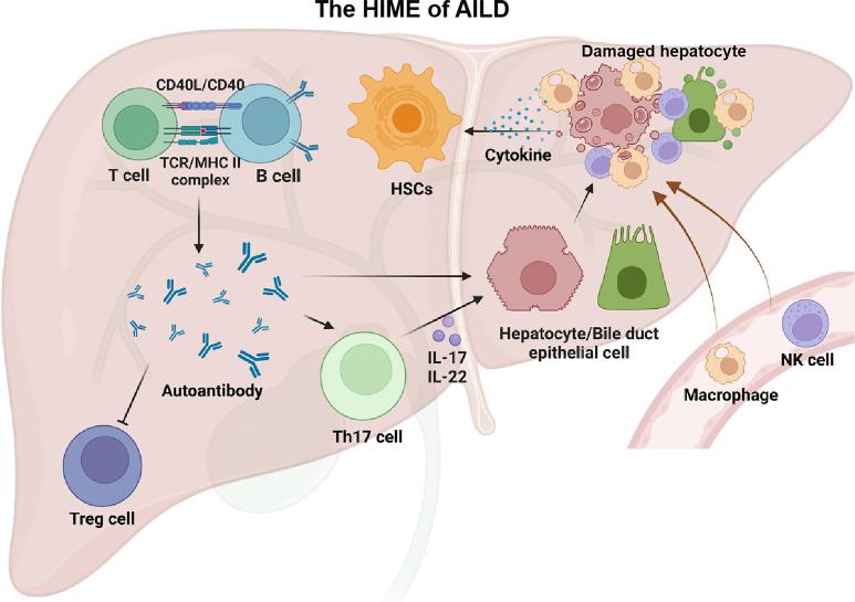 https://cdn.ncbi.nlm.nih.gov/pmc/blobs/7144/9978172/d5cd9d7508d1/fimmu-14-1131588-g003.jpg