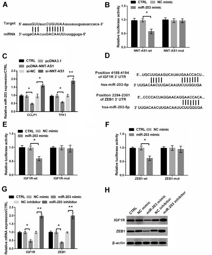 https://cdn.ncbi.nlm.nih.gov/pmc/blobs/7145/7041725/b6029021a37c/aging-12-102747-g004.jpg