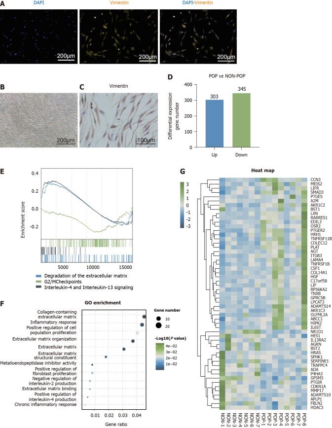 https://cdn.ncbi.nlm.nih.gov/pmc/blobs/7146/11212552/dc9f6cc531e0/WJSC-16-708-g003.jpg