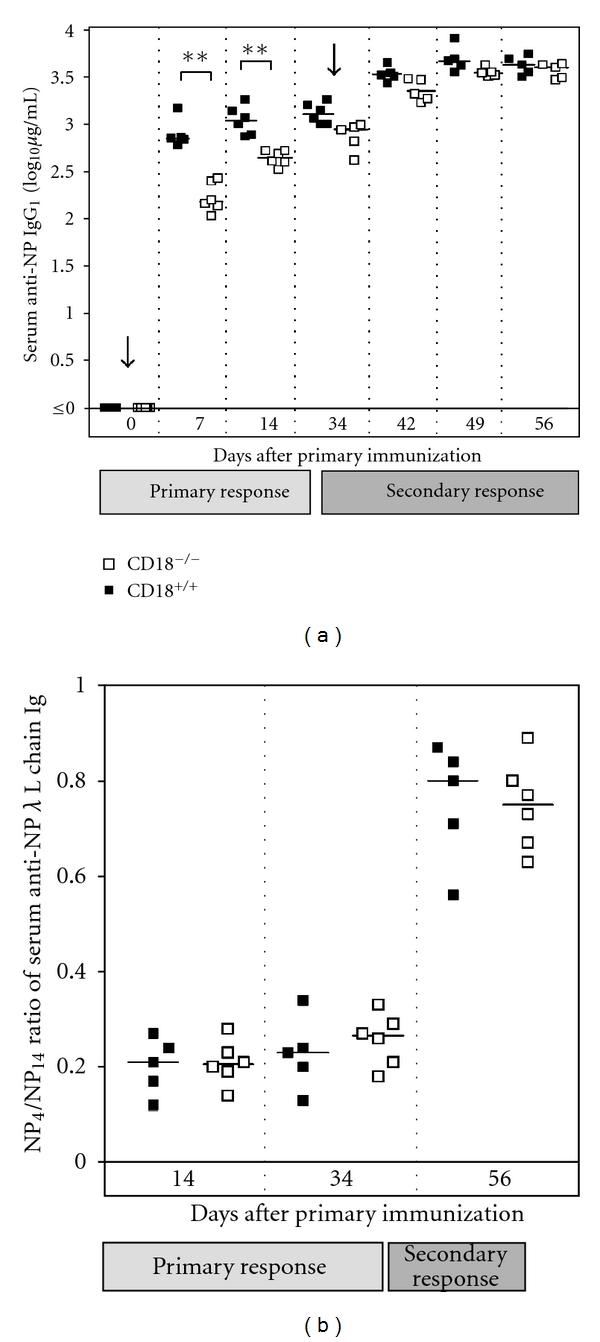 https://cdn.ncbi.nlm.nih.gov/pmc/blobs/7146/3303708/c517947200ee/CDI2012-450738.002.jpg