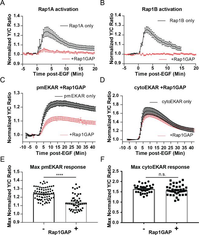 https://cdn.ncbi.nlm.nih.gov/pmc/blobs/7146/7289600/69741074de87/elife-57410-fig3.jpg