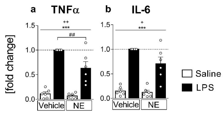 https://cdn.ncbi.nlm.nih.gov/pmc/blobs/7148/9368774/53b814fc4093/ijms-23-08745-g001.jpg
