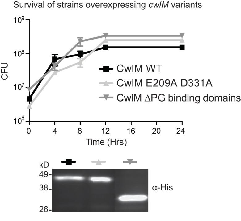 https://cdn.ncbi.nlm.nih.gov/pmc/blobs/714d/4946905/005024ef729b/elife-14590-fig1-figsupp1.jpg