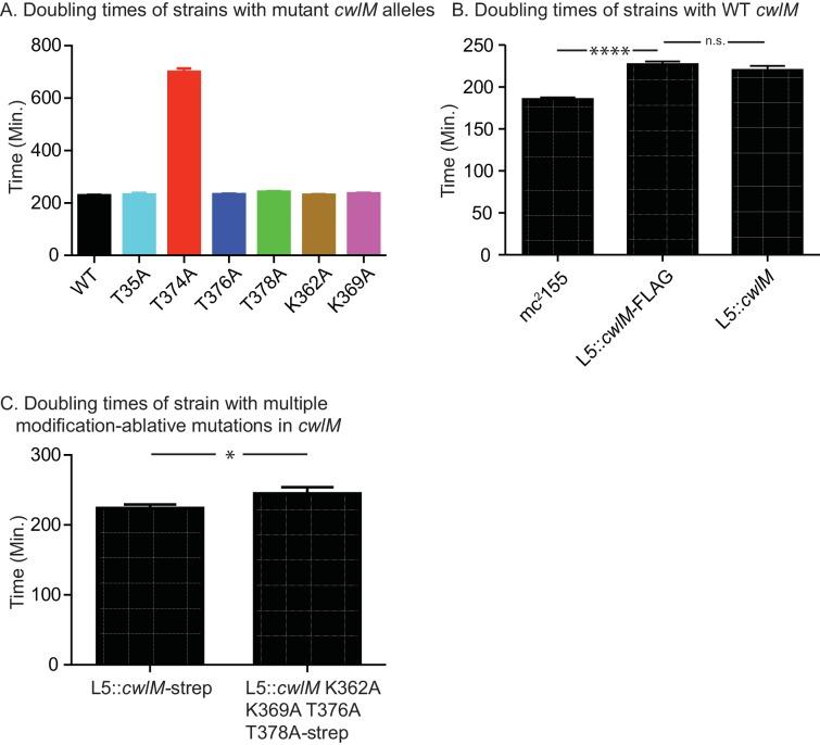 https://cdn.ncbi.nlm.nih.gov/pmc/blobs/714d/4946905/fc95f5ad90ed/elife-14590-fig2-figsupp1.jpg