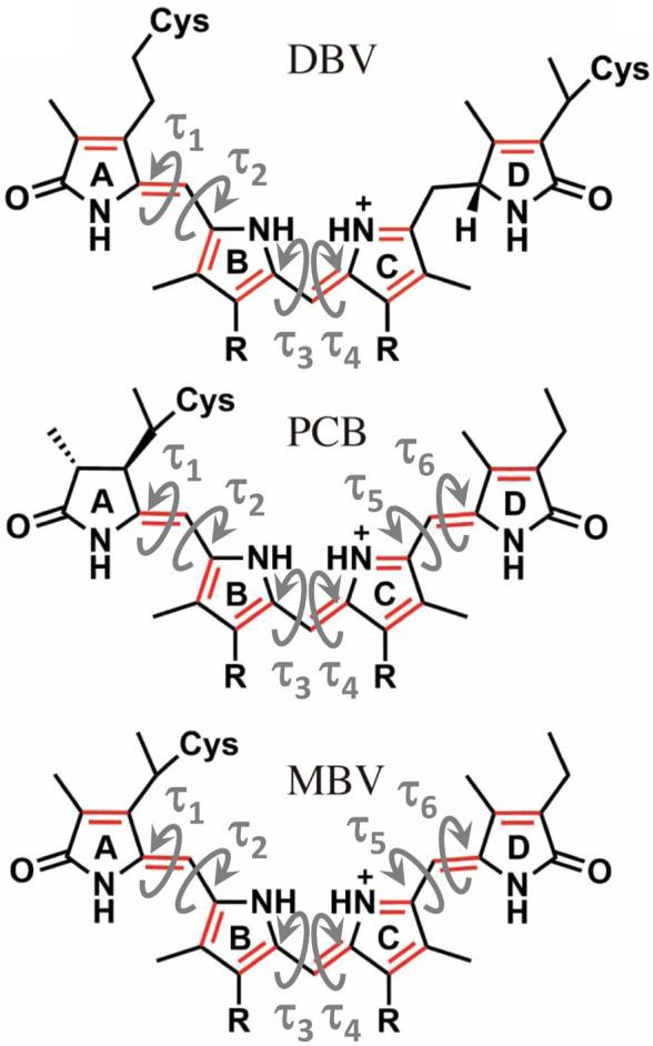https://cdn.ncbi.nlm.nih.gov/pmc/blobs/714e/10544999/2b3844b57815/fmolb-10-1268278-g005.jpg