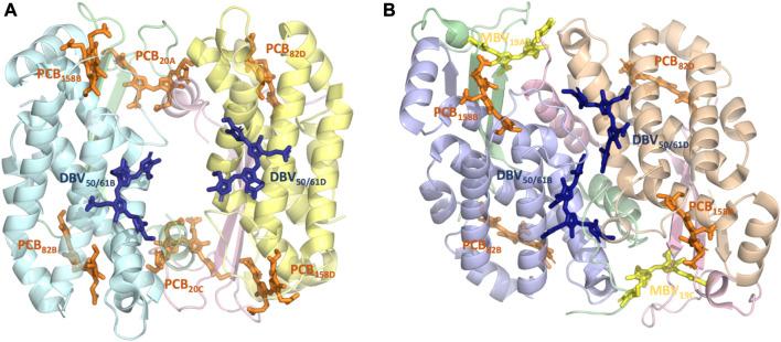 https://cdn.ncbi.nlm.nih.gov/pmc/blobs/714e/10544999/5e19c19ae0bc/fmolb-10-1268278-g001.jpg