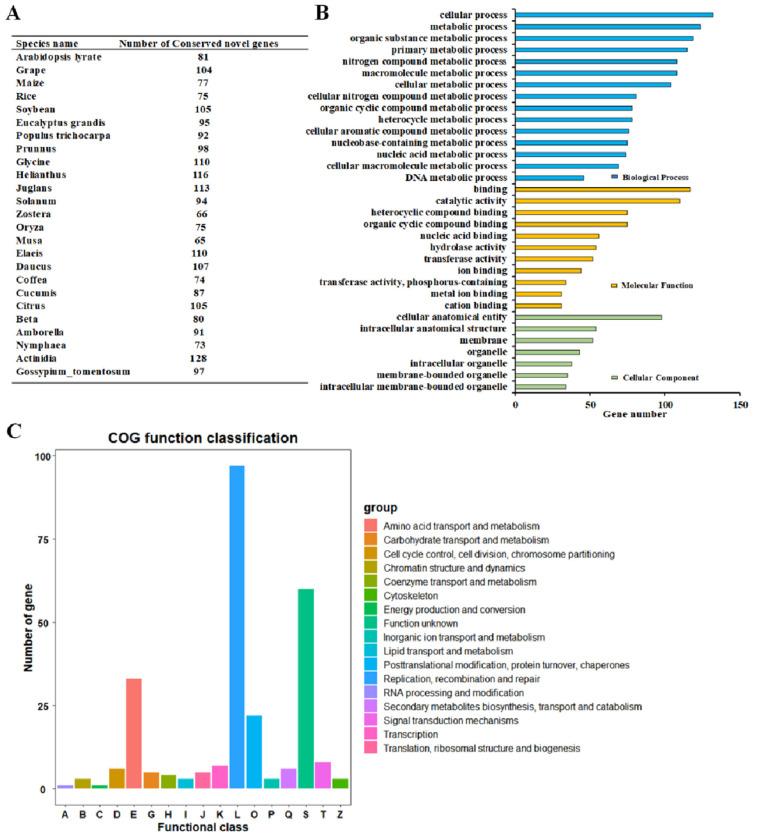 https://cdn.ncbi.nlm.nih.gov/pmc/blobs/714e/11755666/656fd82871e2/proteomes-13-00004-g007.jpg