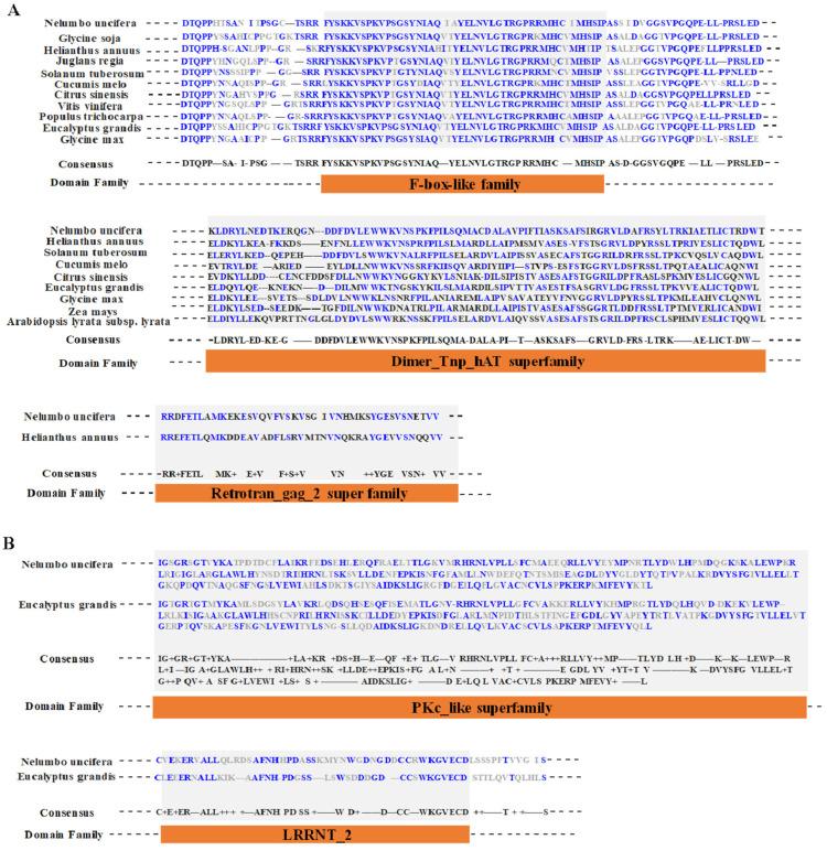 https://cdn.ncbi.nlm.nih.gov/pmc/blobs/714e/11755666/68bc58cae228/proteomes-13-00004-g008.jpg