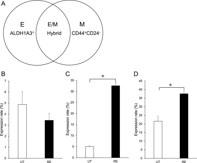 https://cdn.ncbi.nlm.nih.gov/pmc/blobs/714f/9631983/5e568412efa9/AHC22-00076f06.jpg