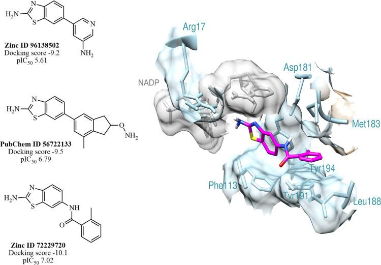 https://cdn.ncbi.nlm.nih.gov/pmc/blobs/7151/11740253/b5aa8923d07b/ao4c06146_0006.jpg
