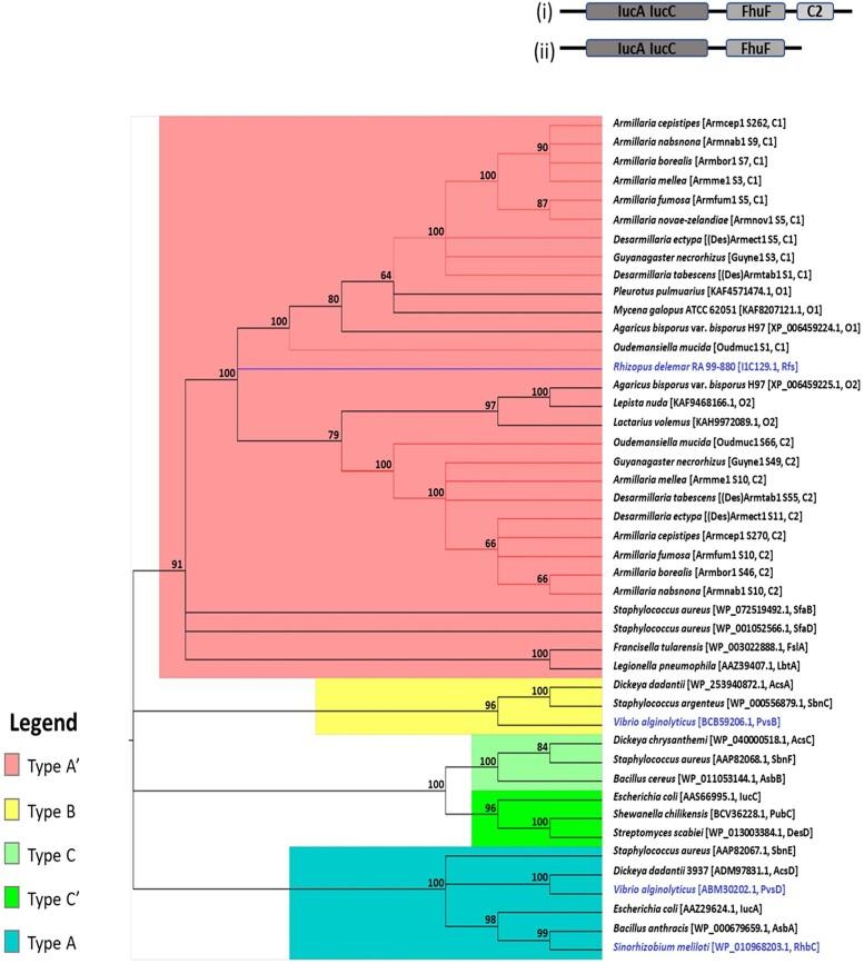 https://cdn.ncbi.nlm.nih.gov/pmc/blobs/7154/10700112/23bc8d8698d8/jkad205f3.jpg