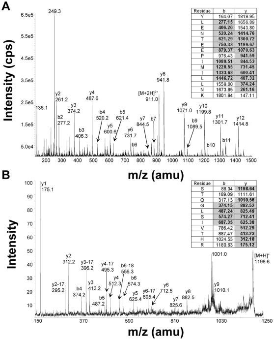 https://cdn.ncbi.nlm.nih.gov/pmc/blobs/715a/2799525/218166d3f26b/pone.0008638.g004.jpg