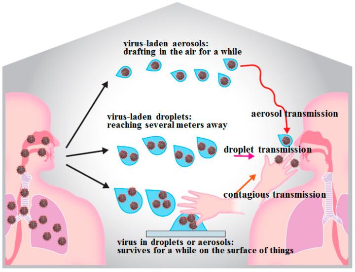 https://cdn.ncbi.nlm.nih.gov/pmc/blobs/715b/8235682/34e324557b95/ijms-22-06527-g003.jpg