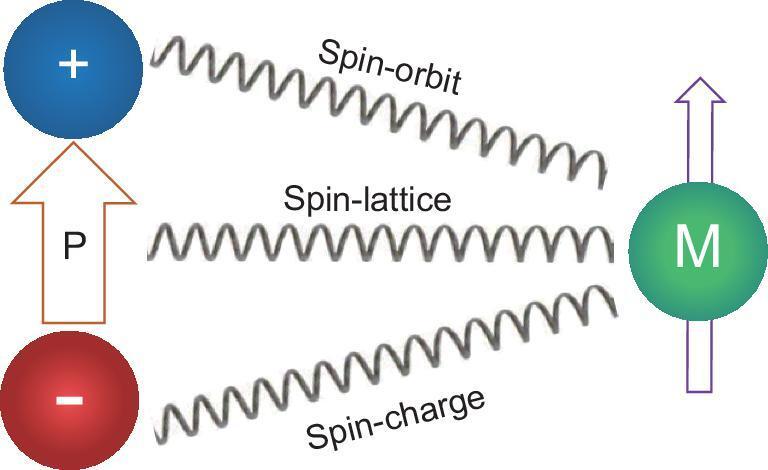 https://cdn.ncbi.nlm.nih.gov/pmc/blobs/715b/8291640/8155db2c440b/nwz023fig1.jpg