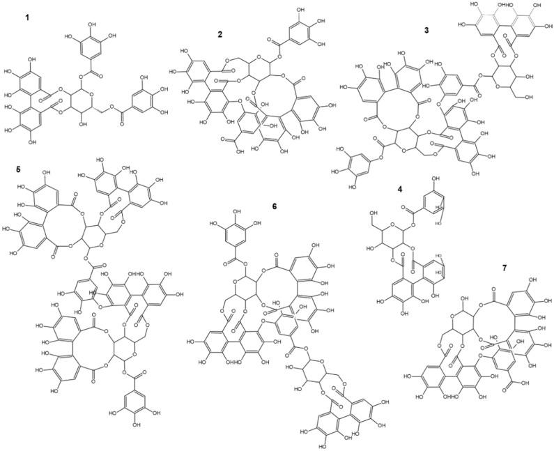 https://cdn.ncbi.nlm.nih.gov/pmc/blobs/715f/8657505/35b2354930cd/ijms-22-12972-g001.jpg