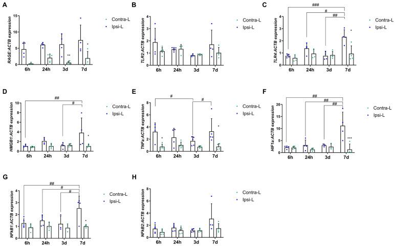 https://cdn.ncbi.nlm.nih.gov/pmc/blobs/7161/12027851/aee1f6df245a/ijms-26-03702-g004.jpg