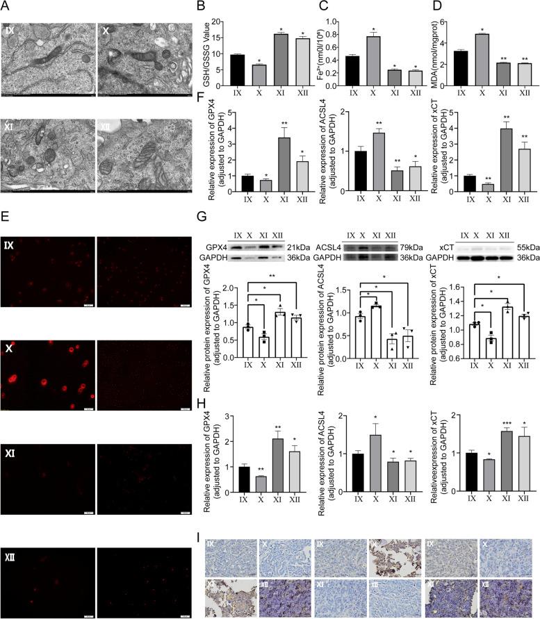 https://cdn.ncbi.nlm.nih.gov/pmc/blobs/7163/10351131/1bc42c9b08c3/12943_2023_1804_Fig9_HTML.jpg