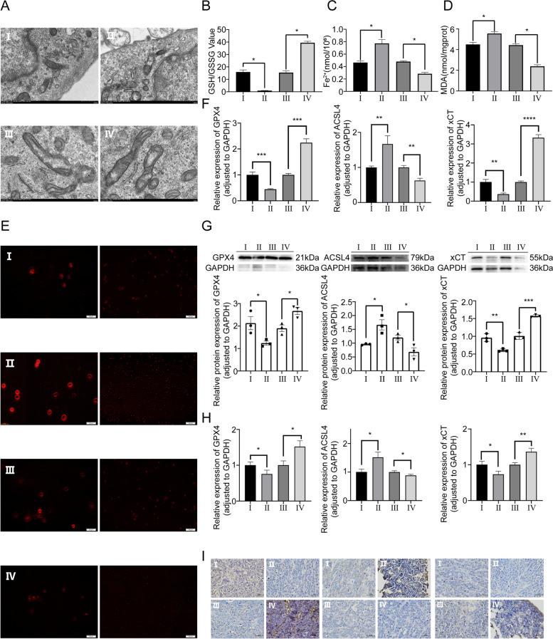 https://cdn.ncbi.nlm.nih.gov/pmc/blobs/7163/10351131/73832c0a7f49/12943_2023_1804_Fig5_HTML.jpg