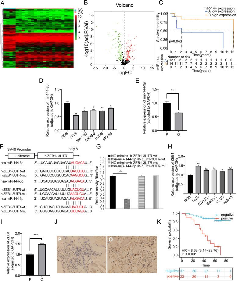 https://cdn.ncbi.nlm.nih.gov/pmc/blobs/7163/10351131/95bb0bd3093c/12943_2023_1804_Fig2_HTML.jpg