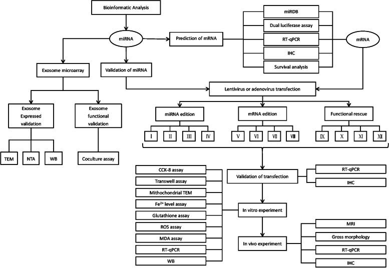 https://cdn.ncbi.nlm.nih.gov/pmc/blobs/7163/10351131/b27efda62181/12943_2023_1804_Fig1_HTML.jpg