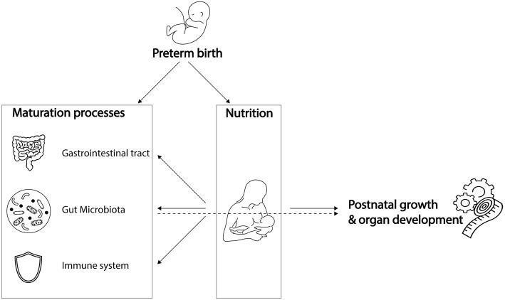 https://cdn.ncbi.nlm.nih.gov/pmc/blobs/7163/6454191/36b2a872af59/fcimb-09-00085-g0001.jpg