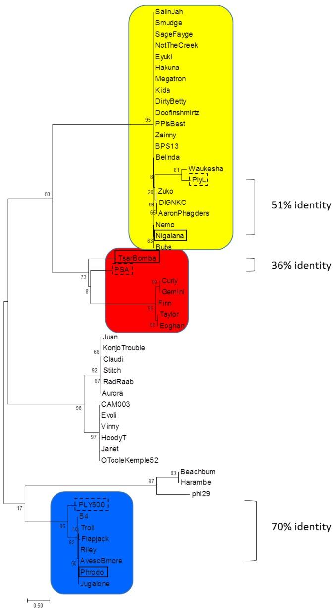 https://cdn.ncbi.nlm.nih.gov/pmc/blobs/7165/5977269/c59b91e169b6/viruses-10-00276-g001.jpg