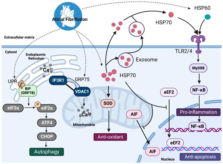 https://cdn.ncbi.nlm.nih.gov/pmc/blobs/7166/9818491/08b9b8a2620b/cells-12-00151-g001.jpg
