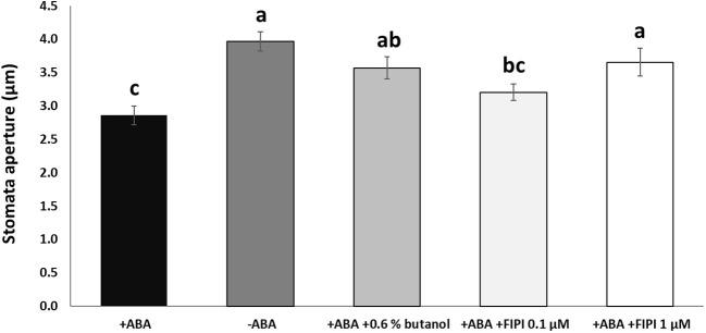 https://cdn.ncbi.nlm.nih.gov/pmc/blobs/7168/11045897/818a06a2b6d9/fpls-15-1356699-g001.jpg