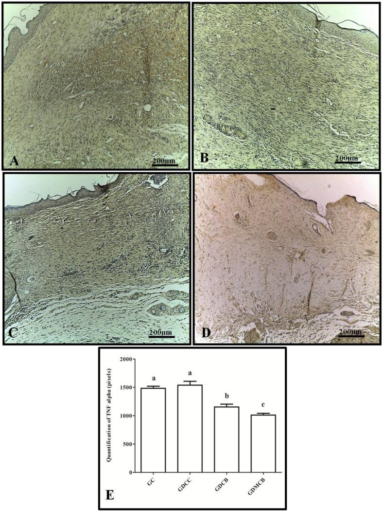 https://cdn.ncbi.nlm.nih.gov/pmc/blobs/7168/11435683/37378409f4f0/polymers-16-02611-g002.jpg