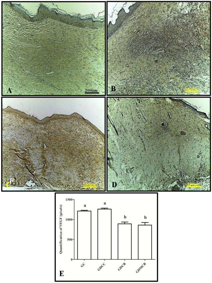 https://cdn.ncbi.nlm.nih.gov/pmc/blobs/7168/11435683/78dd36c5e071/polymers-16-02611-g003.jpg