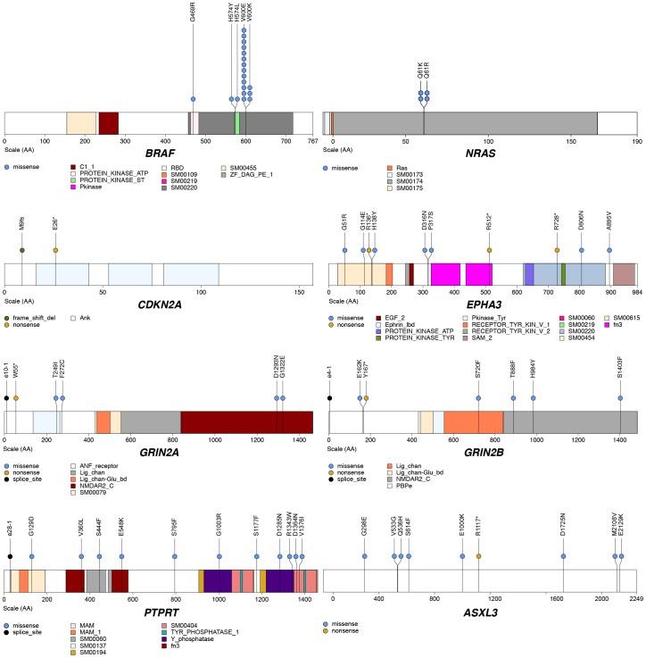https://cdn.ncbi.nlm.nih.gov/pmc/blobs/7169/4230926/96ab7674f7cf/pone.0111153.g002.jpg