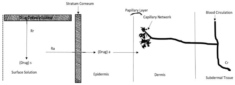 https://cdn.ncbi.nlm.nih.gov/pmc/blobs/716a/11510585/2d4706c0ff64/pharmaceuticals-17-01346-g002.jpg