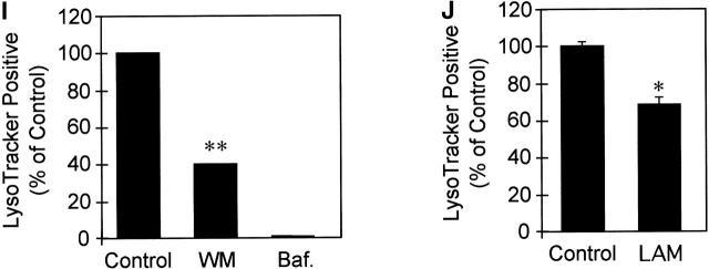 https://cdn.ncbi.nlm.nih.gov/pmc/blobs/716a/2196432/0bfcd2086eeb/0106049f3ij.jpg