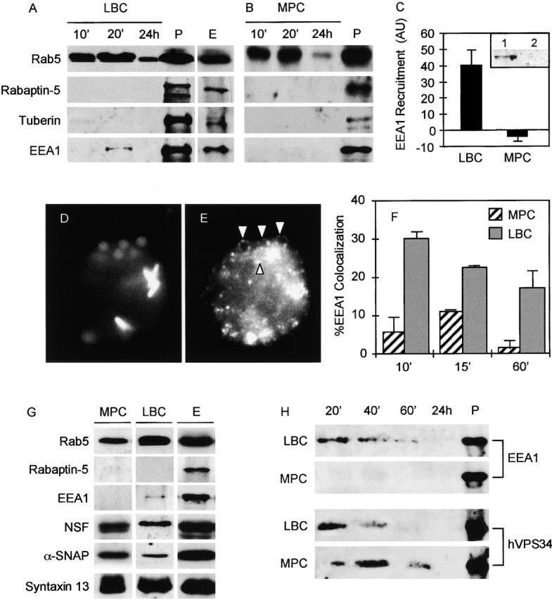 https://cdn.ncbi.nlm.nih.gov/pmc/blobs/716a/2196432/d9cece4694ef/0106049f1.jpg