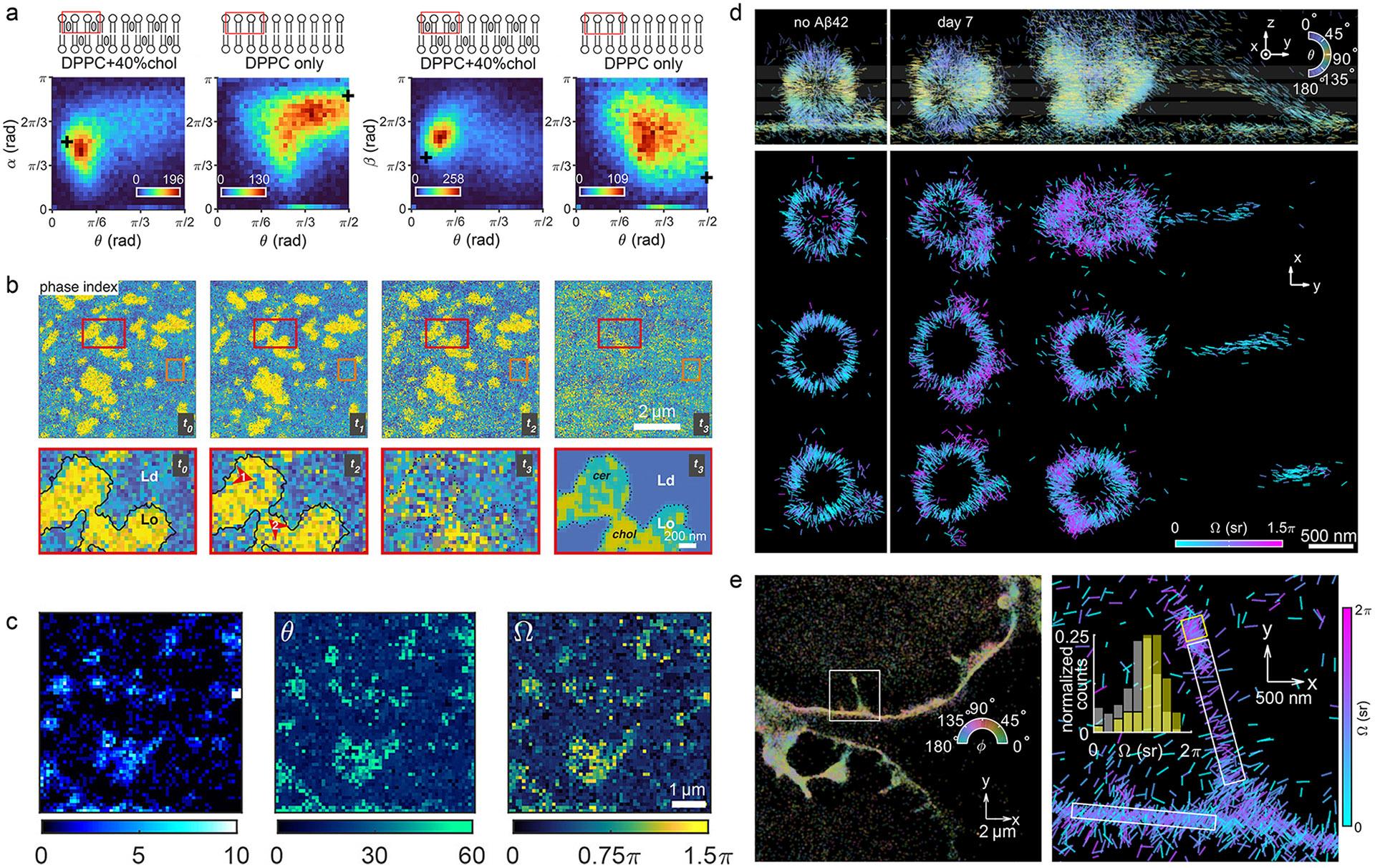 https://cdn.ncbi.nlm.nih.gov/pmc/blobs/716b/11771422/68eb428da423/nihms-2044196-f0004.jpg