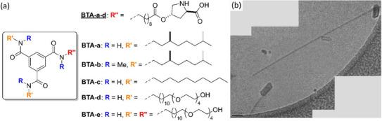 https://cdn.ncbi.nlm.nih.gov/pmc/blobs/716b/12284627/bf1e57e8e28d/CHEM-31-e202501446-g010.jpg