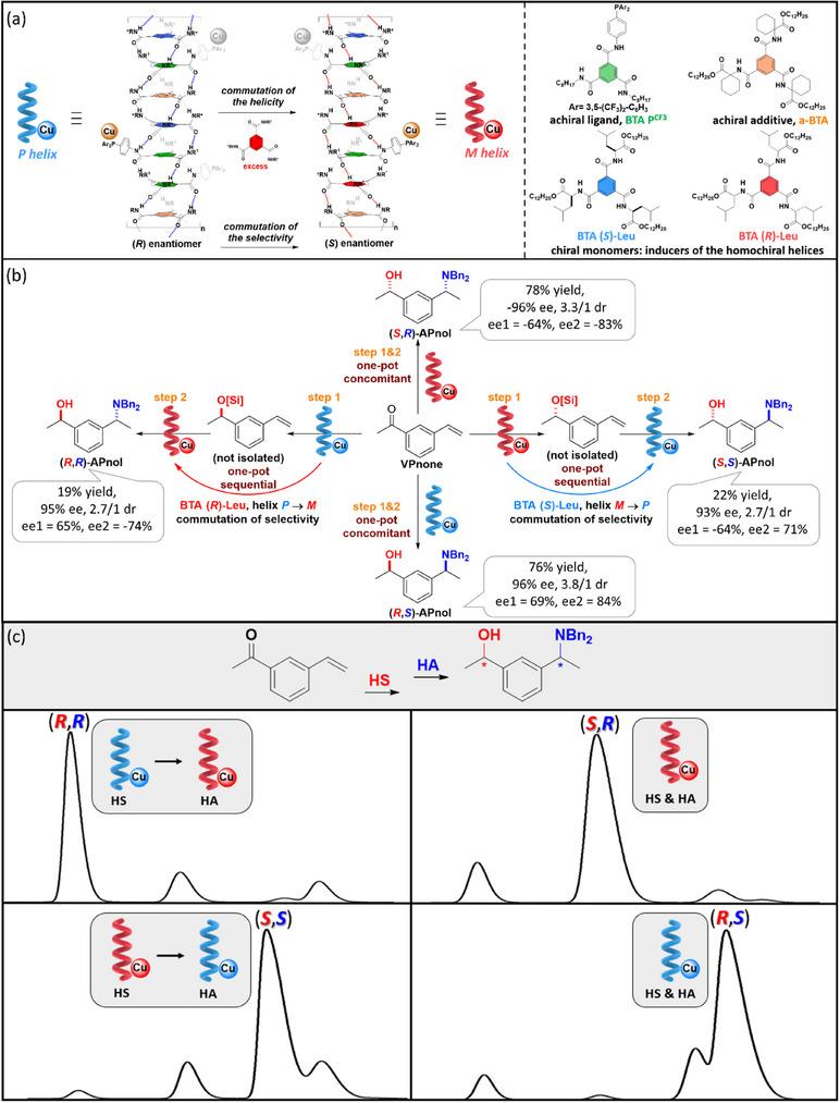 https://cdn.ncbi.nlm.nih.gov/pmc/blobs/716b/12284627/c4aa40c9ee25/CHEM-31-e202501446-g009.jpg