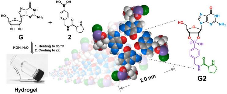 https://cdn.ncbi.nlm.nih.gov/pmc/blobs/716b/12284627/eae70c877b24/CHEM-31-e202501446-g026.jpg