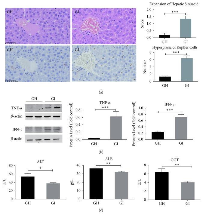 https://cdn.ncbi.nlm.nih.gov/pmc/blobs/716b/6470425/56d6e74f3e81/BMRI2019-4530203.001.jpg