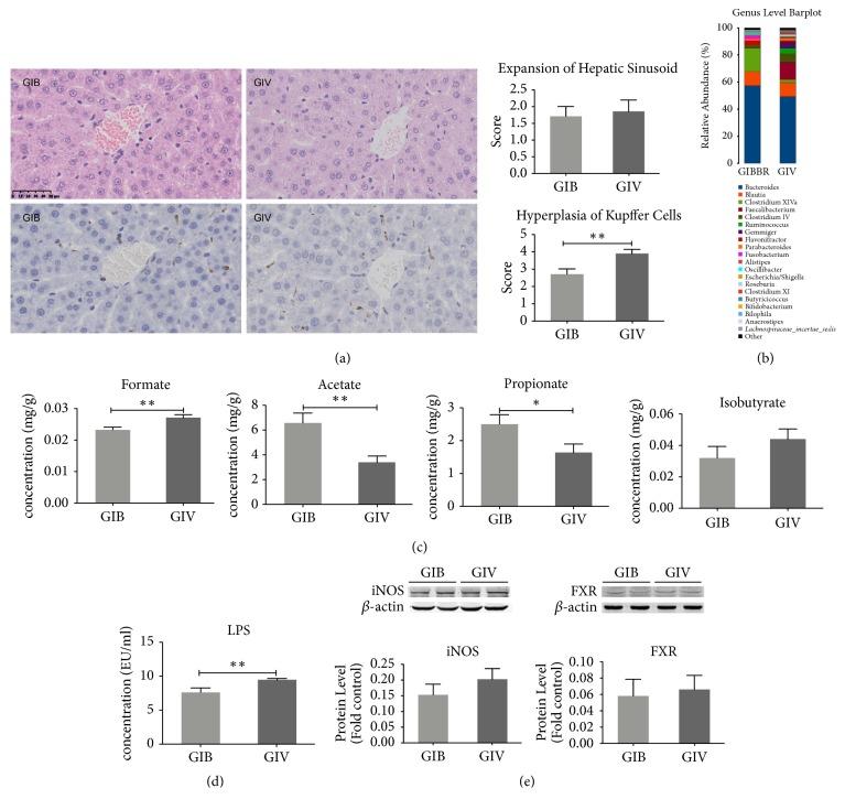 https://cdn.ncbi.nlm.nih.gov/pmc/blobs/716b/6470425/ac7f26356092/BMRI2019-4530203.006.jpg