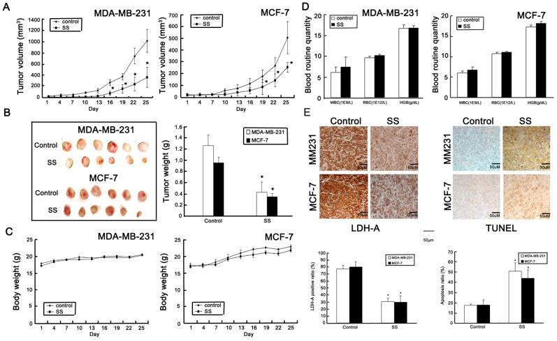 https://cdn.ncbi.nlm.nih.gov/pmc/blobs/716d/3572989/ecd78a8a1e6d/pone.0056631.g002.jpg