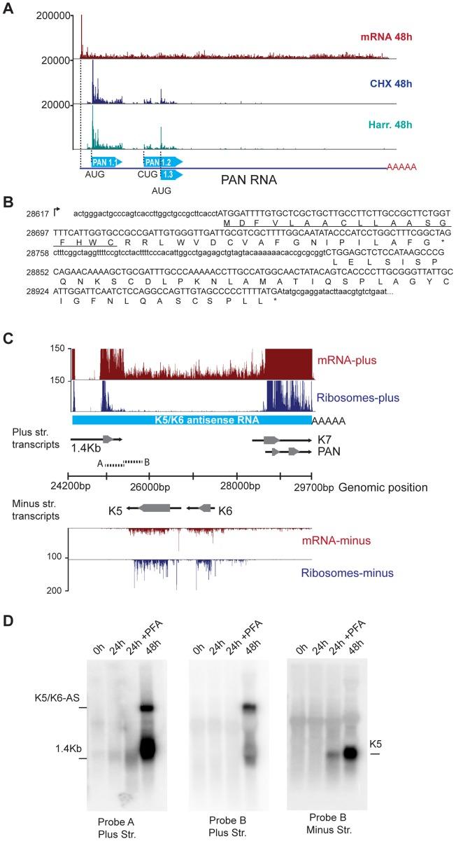 https://cdn.ncbi.nlm.nih.gov/pmc/blobs/716d/3894221/fb81159b4740/ppat.1003847.g004.jpg