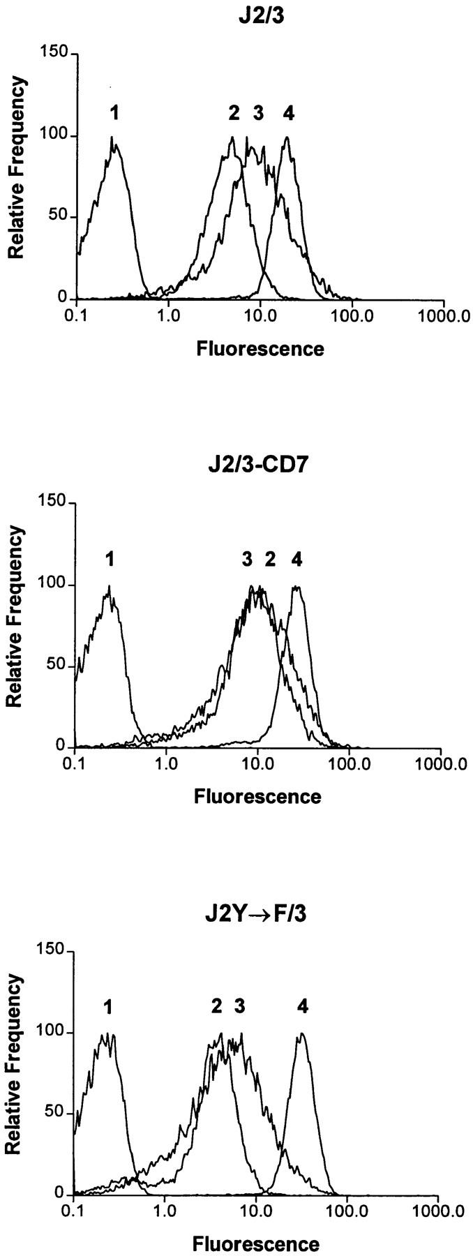 https://cdn.ncbi.nlm.nih.gov/pmc/blobs/716f/2140207/a3f135535a4b/JCB.12436f1.jpg
