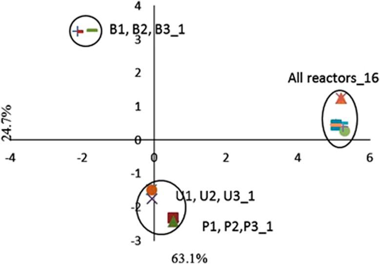 https://cdn.ncbi.nlm.nih.gov/pmc/blobs/716f/3475369/253ee00268aa/ismej201242f5.jpg