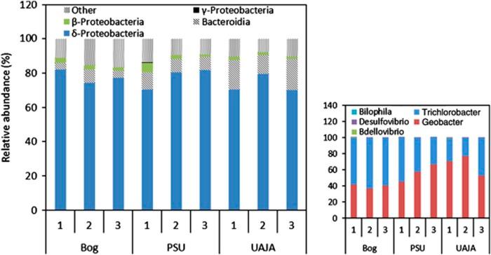 https://cdn.ncbi.nlm.nih.gov/pmc/blobs/716f/3475369/ad296c958b3d/ismej201242f4.jpg