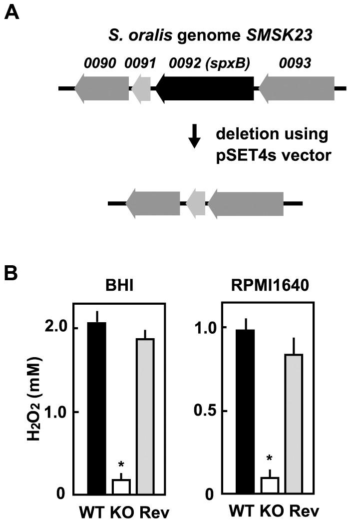 https://cdn.ncbi.nlm.nih.gov/pmc/blobs/716f/3643943/53cbb5551aa0/pone.0062563.g003.jpg