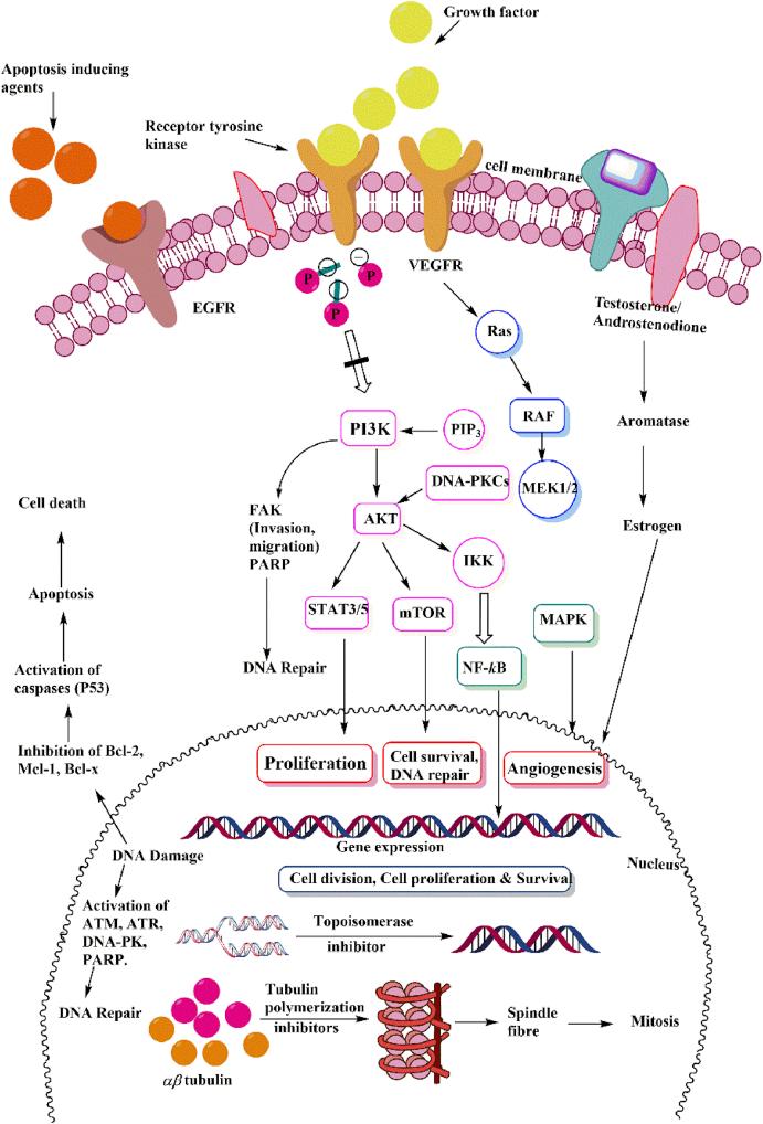 https://cdn.ncbi.nlm.nih.gov/pmc/blobs/7171/9293743/743a073e3ca4/gr13.jpg